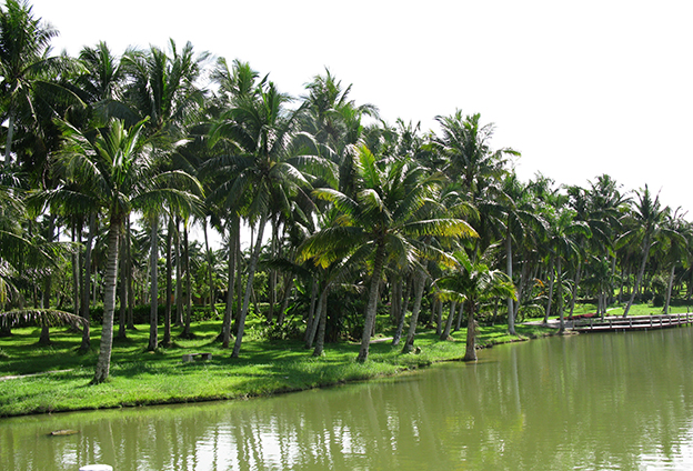 只有創(chuàng)新產(chǎn)品，才能占據(jù)市場(chǎng)主導(dǎo)地位